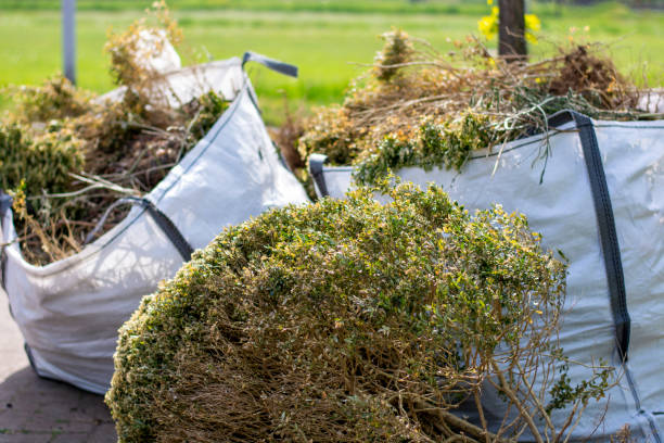 Best Junk Hauling Services  in Amelia Court House, VA